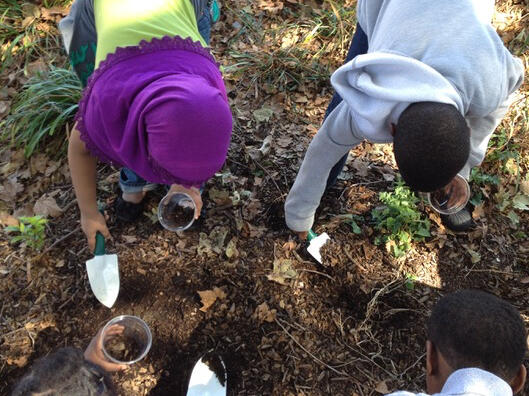 What's in soil? We discovered a lot and learned a lot.