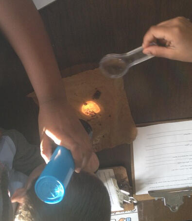 Does light affect earthworms? Earthworm discovery